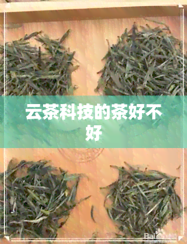 云茶科技的茶好不好