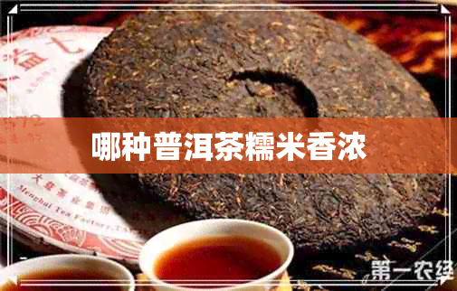 哪种普洱茶糯米香浓