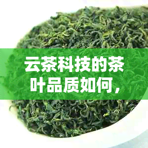 云茶科技的茶叶品质如何，口感是否惊艳？——普洱茶科技品鉴之旅