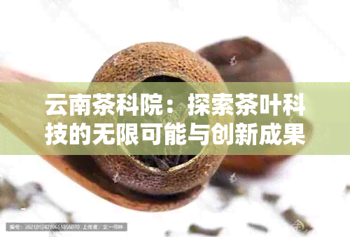 云南茶科院：探索茶叶科技的无限可能与创新成果