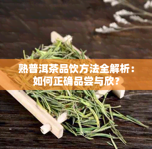 熟普洱茶品饮方法全解析：如何正确品尝与欣？