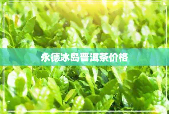 永德冰岛普洱茶价格