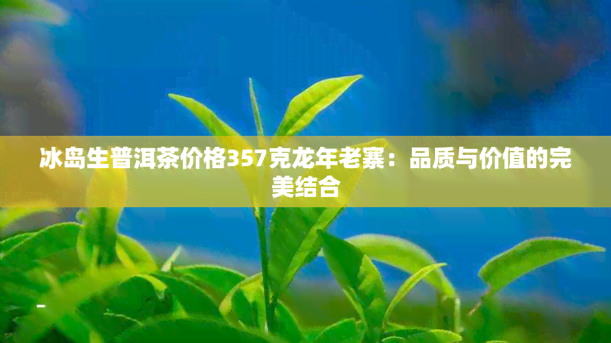 冰岛生普洱茶价格357克龙年老寨：品质与价值的完美结合