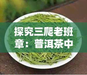 探究三爬老班章：普洱茶中的神秘品种与制作工艺