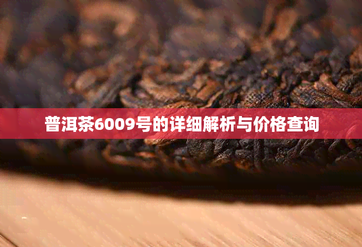 普洱茶6009号的详细解析与价格查询