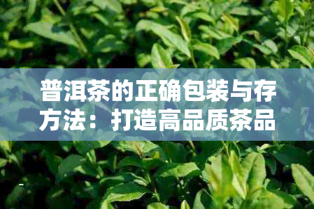 普洱茶的正确包装与存方法：打造高品质茶品的关键步骤