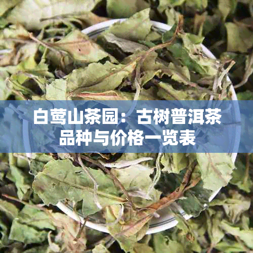 白莺山茶园：古树普洱茶品种与价格一览表