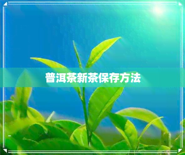 普洱茶新茶保存方法