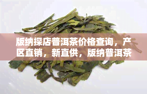 版纳探店普洱茶价格查询，产区直销，新直供，版纳普洱茶业