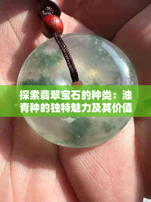 探索翡翠宝石的种类：油青种的独特魅力及其价值