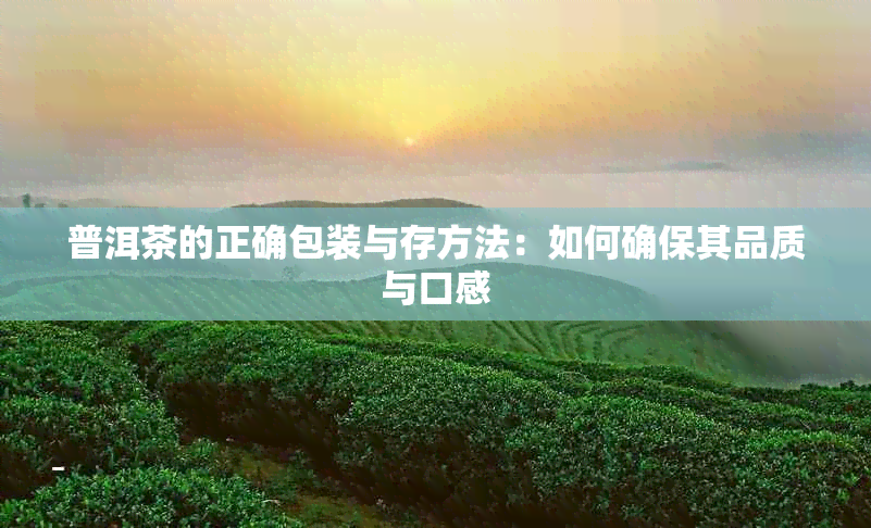 普洱茶的正确包装与存方法：如何确保其品质与口感