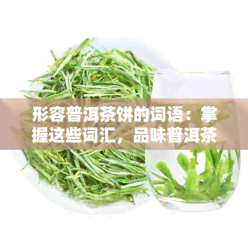 形容普洱茶饼的词语：掌握这些词汇，品味普洱茶的韵味与特点