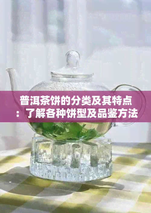 普洱茶饼的分类及其特点：了解各种饼型及品鉴方法