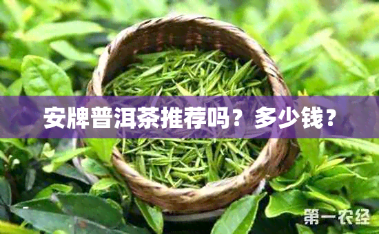 安牌普洱茶推荐吗？多少钱？