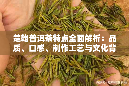 楚雄普洱茶特点全面解析：品质、口感、制作工艺与文化背景一网打尽