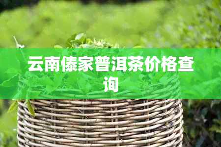 云南傣家普洱茶价格查询