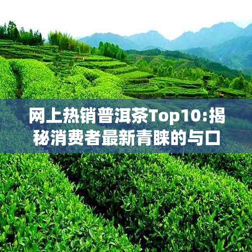 网上热销普洱茶Top10:揭秘消费者最新青睐的与口感