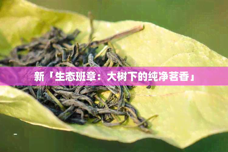 新「生态班章：大树下的纯净茗香」