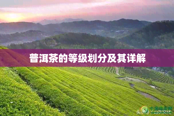 普洱茶的等级划分及其详解