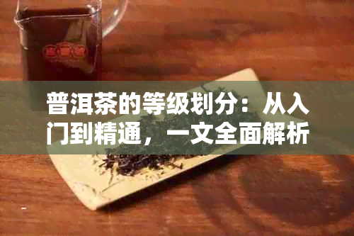 普洱茶的等级划分：从入门到精通，一文全面解析各级别特点与品鉴方法