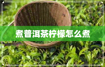 煮普洱茶柠檬怎么煮