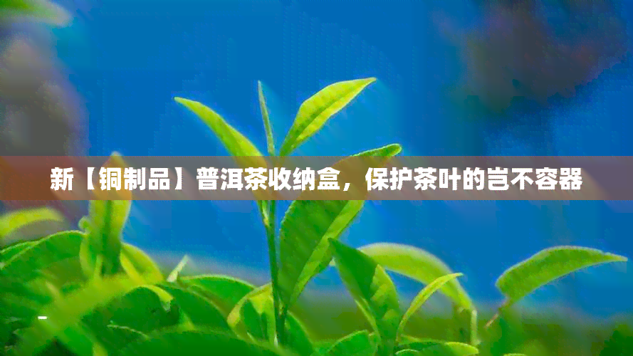 新【铜制品】普洱茶收纳盒，保护茶叶的岂不容器