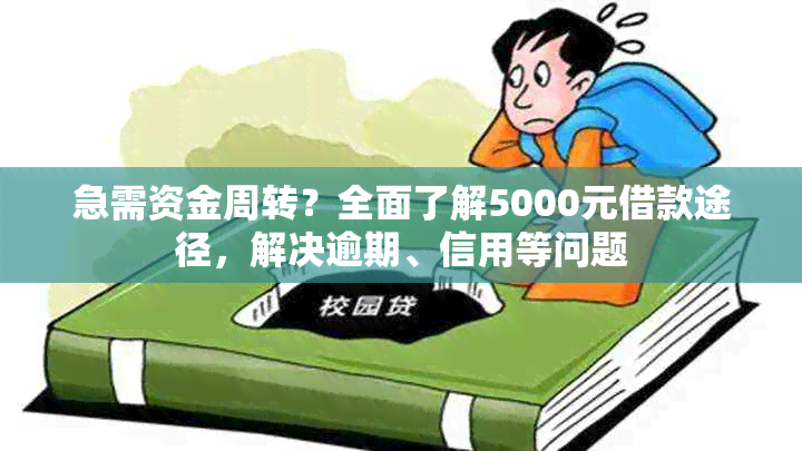 急需资金周转？全面了解5000元借款途径，解决逾期、信用等问题