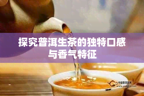 探究普洱生茶的独特口感与香气特征