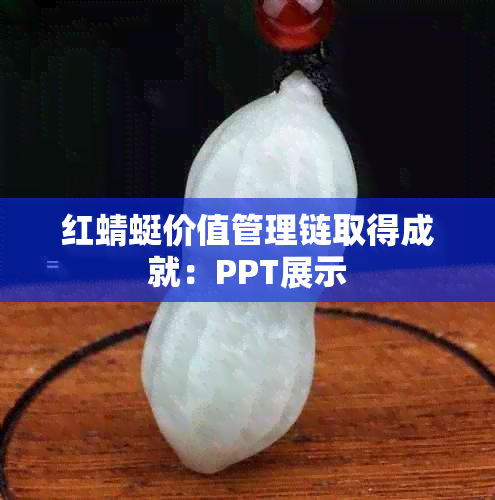 红蜻蜓价值管理链取得成就：PPT展示