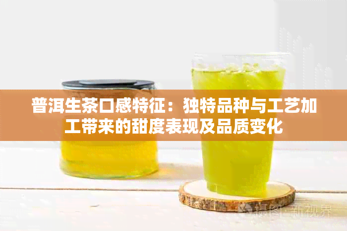 普洱生茶口感特征：独特品种与工艺加工带来的甜度表现及品质变化