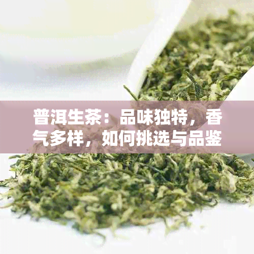 普洱生茶：品味独特，香气多样，如何挑选与品鉴？