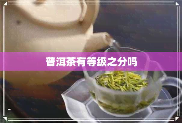 普洱茶有等级之分吗