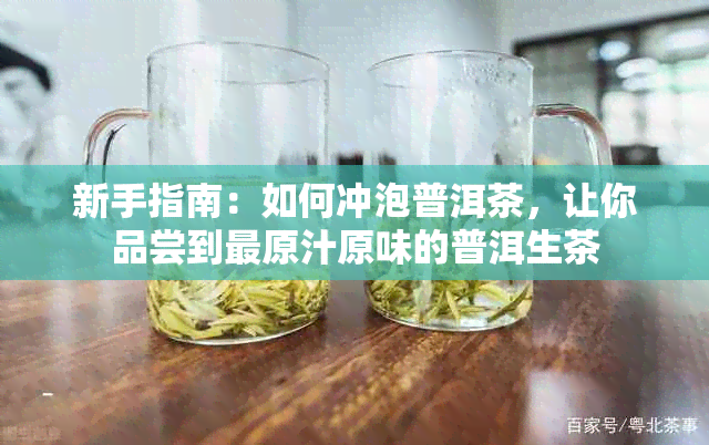 新手指南：如何冲泡普洱茶，让你品尝到最原汁原味的普洱生茶