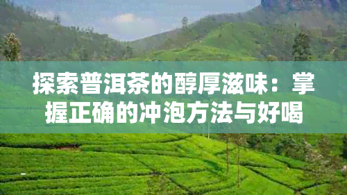 探索普洱茶的醇厚滋味：掌握正确的冲泡方法与好喝的关键