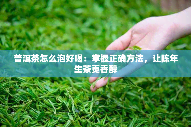 普洱茶怎么泡好喝：掌握正确方法，让陈年生茶更香醇