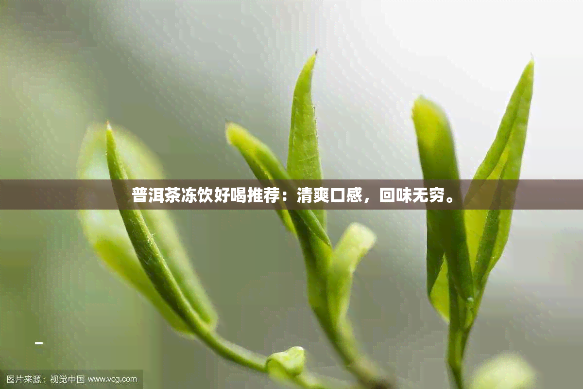 普洱茶冻饮好喝推荐：清爽口感，回味无穷。