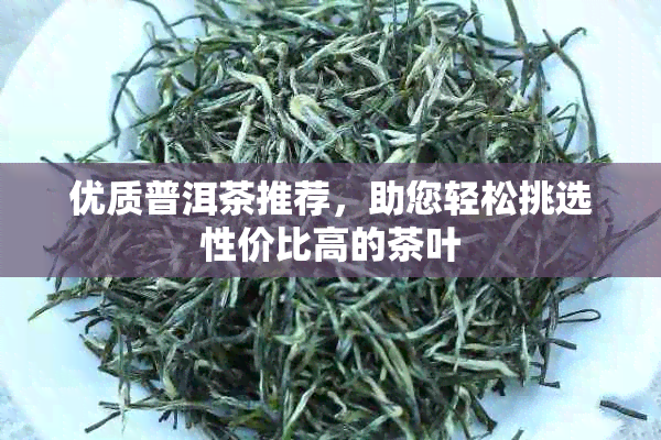 优质普洱茶推荐，助您轻松挑选性价比高的茶叶