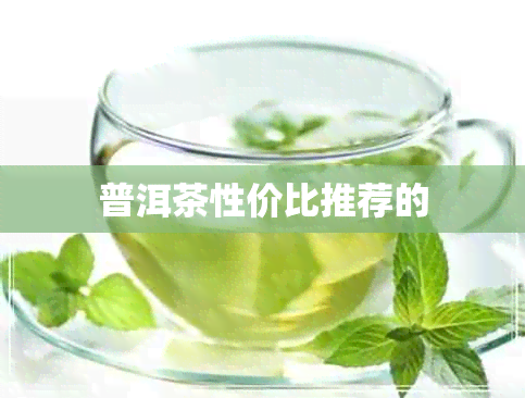 普洱茶性价比推荐的