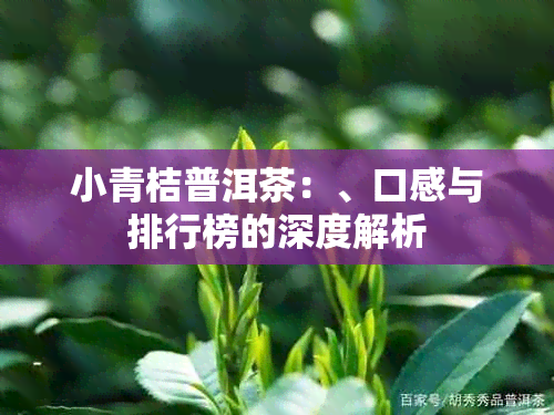 小青桔普洱茶：、口感与排行榜的深度解析