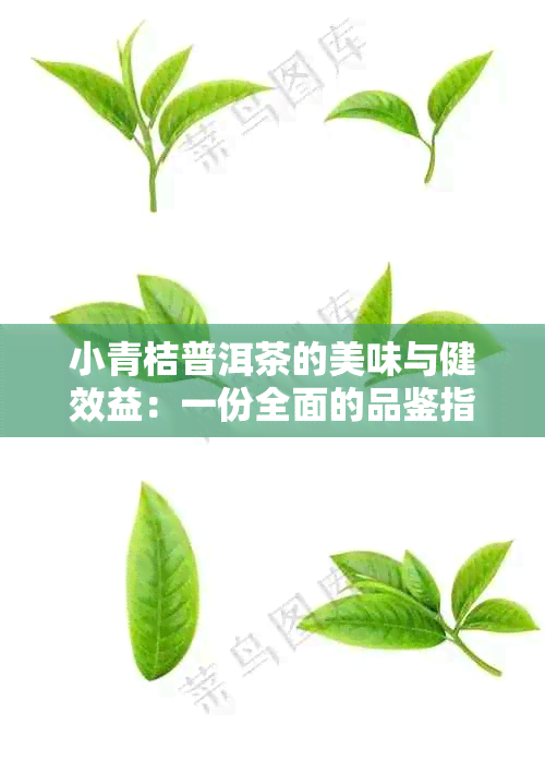 小青桔普洱茶的美味与健效益：一份全面的品鉴指南