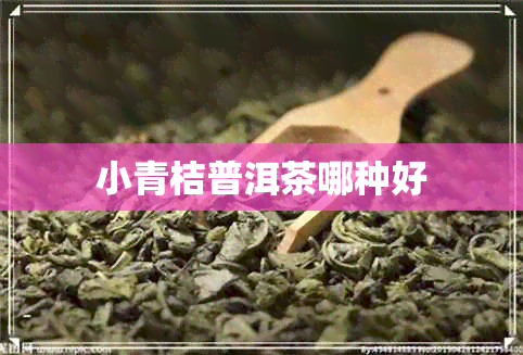 小青桔普洱茶哪种好