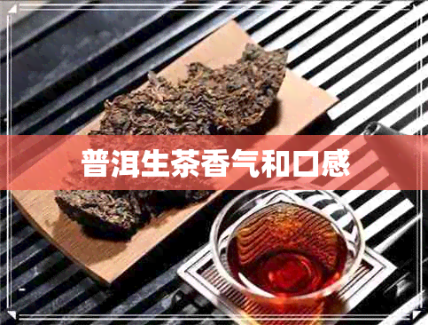 普洱生茶香气和口感