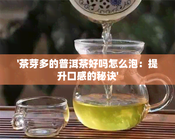 '茶芽多的普洱茶好吗怎么泡：提升口感的秘诀'