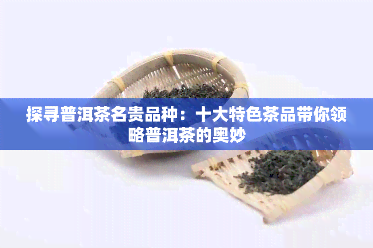 探寻普洱茶名贵品种：十大特色茶品带你领略普洱茶的奥妙