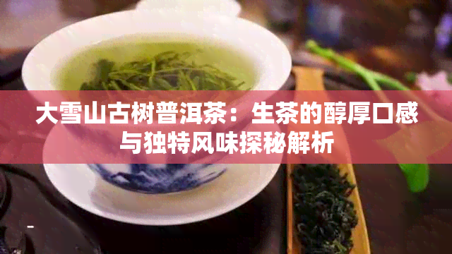 大雪山古树普洱茶：生茶的醇厚口感与独特风味探秘解析