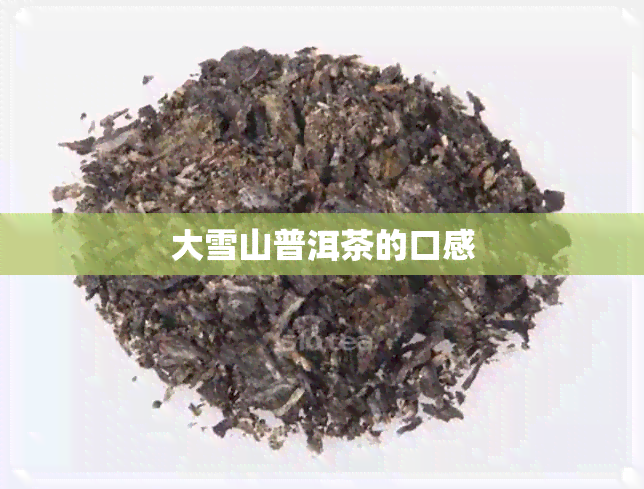 大雪山普洱茶的口感