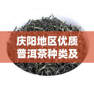 庆阳地区优质普洱茶种类及价格概览：生茶、熟茶、老茶一网打尽