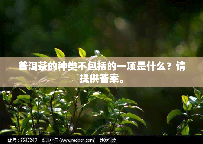 普洱茶的种类不包括的一项是什么？请提供答案。