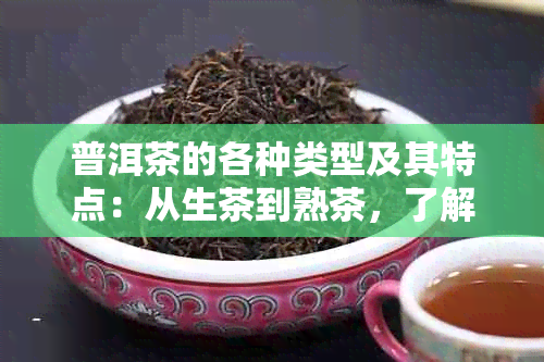 普洱茶的各种类型及其特点：从生茶到熟茶，了解所有你想知道的！