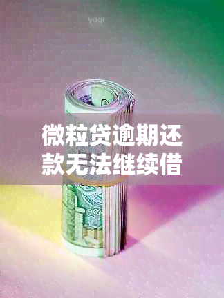 微粒贷逾期还款无法继续借款的解决方法及注意事项，让你了解所有相关信息